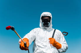 Best Termite Inspection and Treatment  in Pelican Rapids, MN